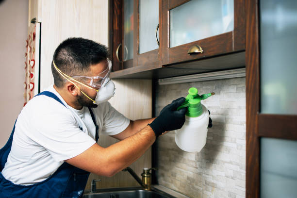 Flea Control Services in Midway South, TX