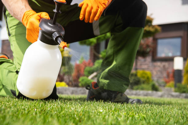 Best Emergency Pest Control  in Midway South, TX
