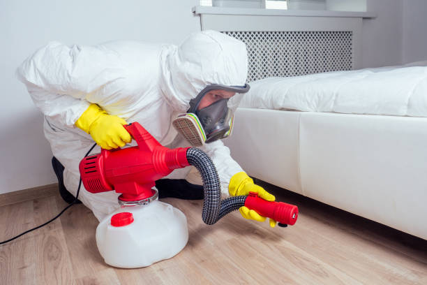 Best Mosquito Control Services  in Midway South, TX