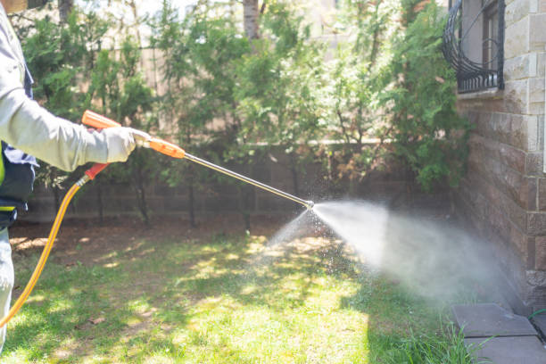Best Local Pest Control Services  in Midway South, TX