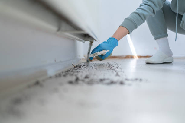 Professional Pest Control in Midway South, TX